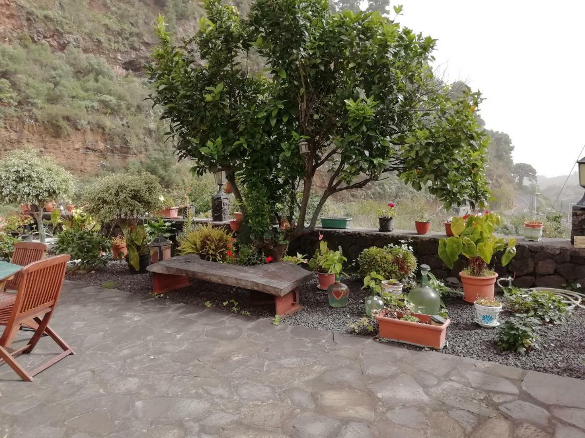 Grosse Finca 19Jh, Pool, Terrasse, Nahe Santa Cruz Santa Cruz de la Palma  Dış mekan fotoğraf